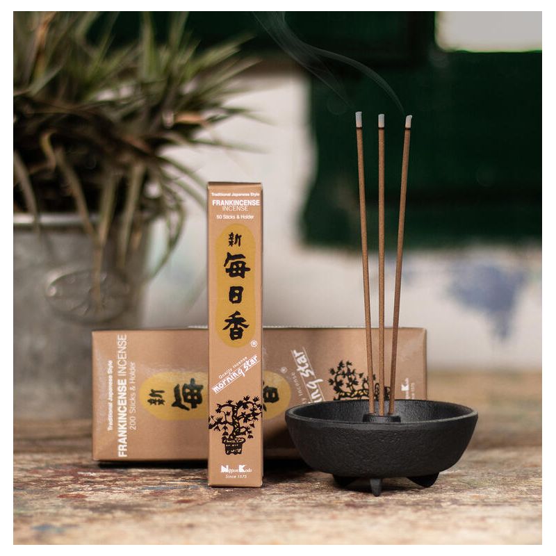 Boîte 50 bâtons d'encens japonais avec son support en céramique, MORNING STAR FRANKINCENSE, parfum oliban