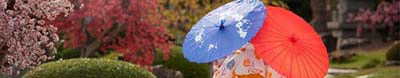 Japanese umbrellas - Wasaga